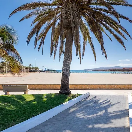 Barcelo Fuerteventura Royal Level - Adults Only فندق 4*