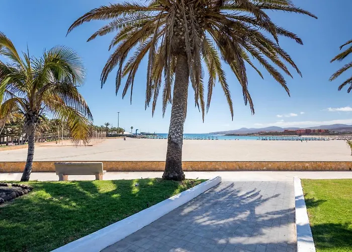 Barcelo Fuerteventura Royal Level - Adults Only فندق 4*